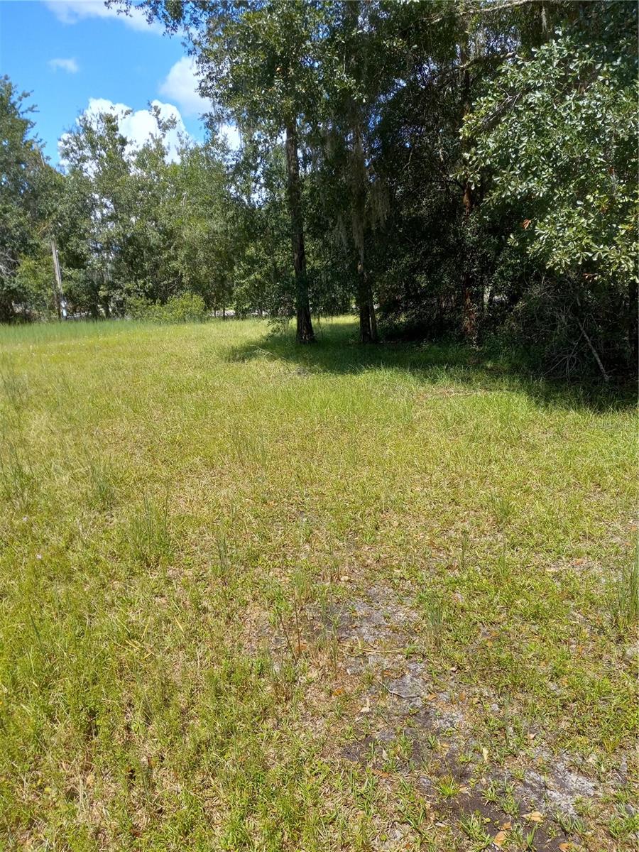 2902 W LUTZ LAKE FERN RD — photo 27