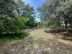 3910 DUNN DR — photo 4