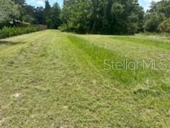 3910 DUNN DR — photo 33
