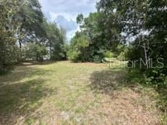 3910 DUNN DR — photo 6