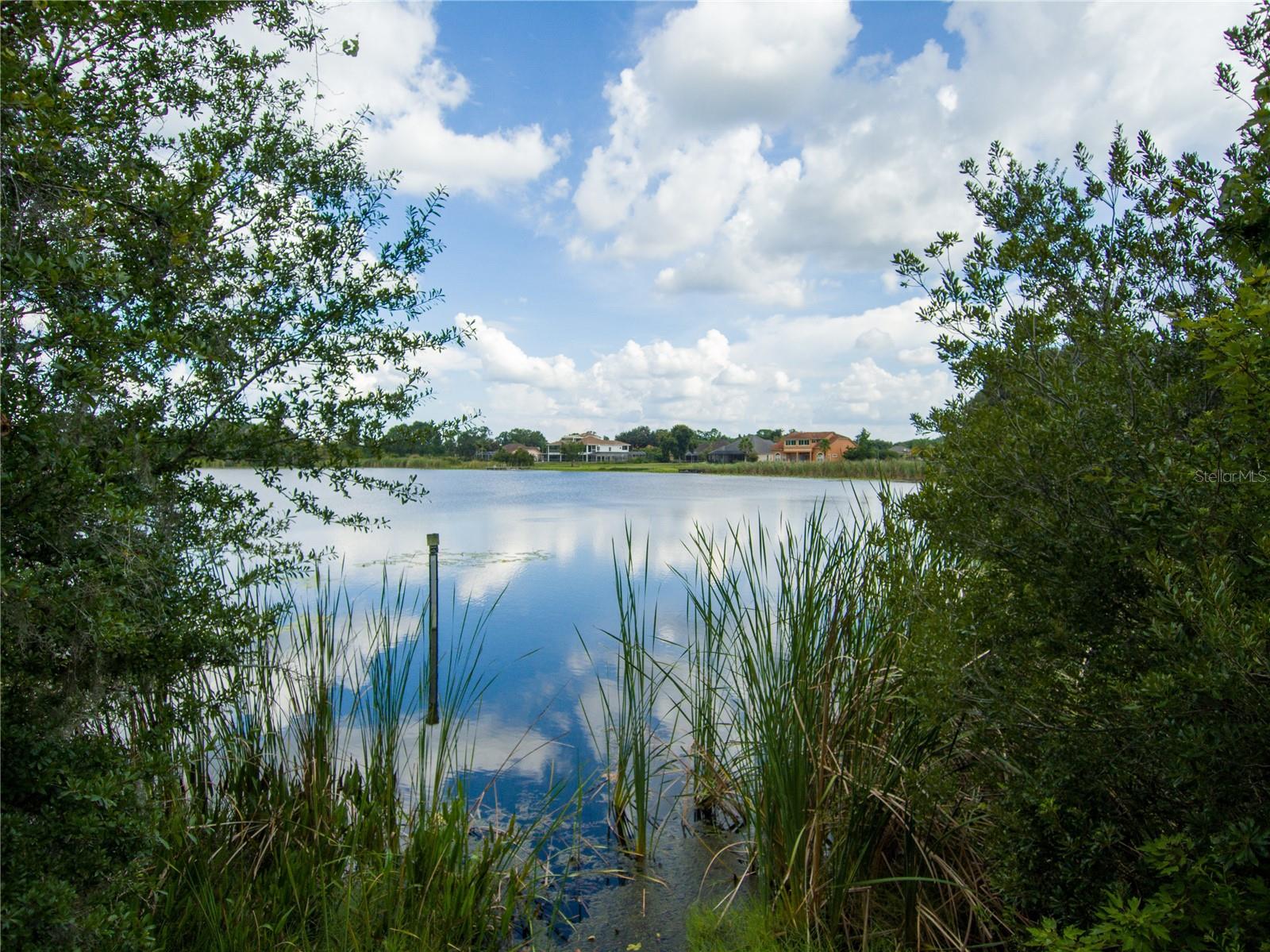 CARSON DR — photo 14