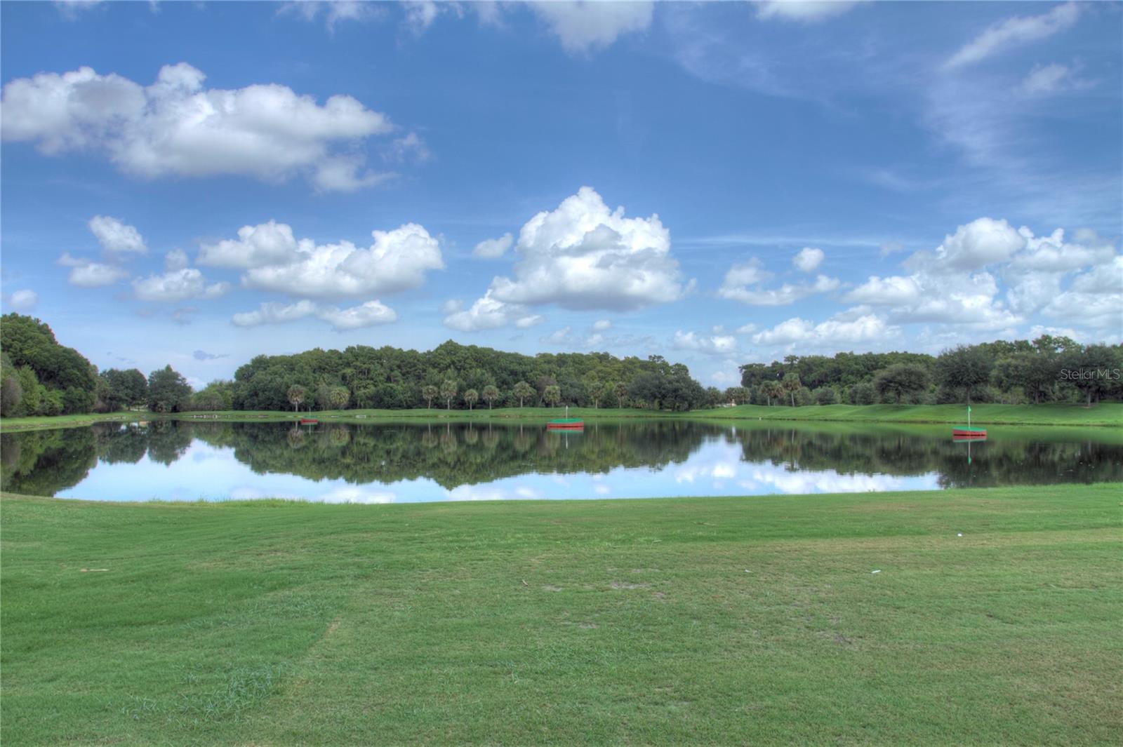 905 FAIRWAY COVE LN #205 — photo 30