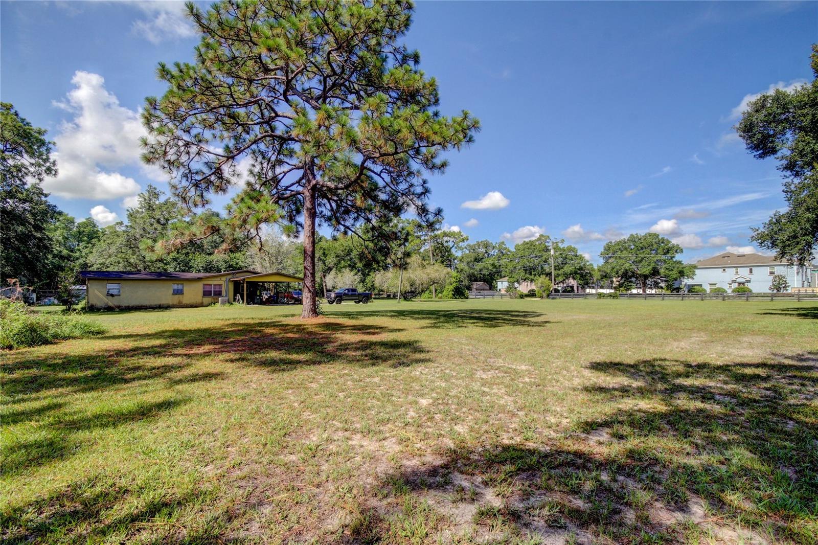 12853 OLIVE JONES RD — photo 11