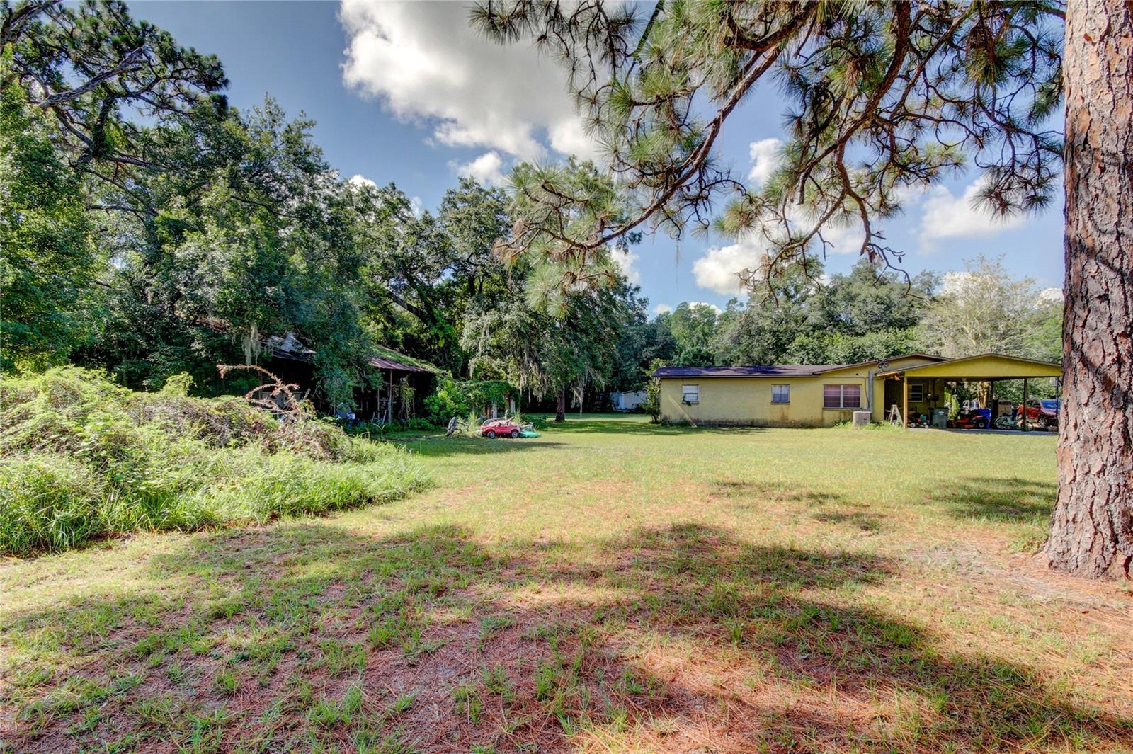 12853 OLIVE JONES RD — photo 20