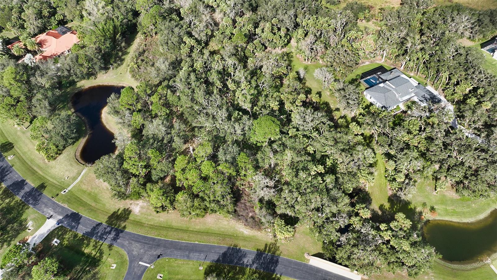 9255 SWAYING BRANCH RD — photo 22