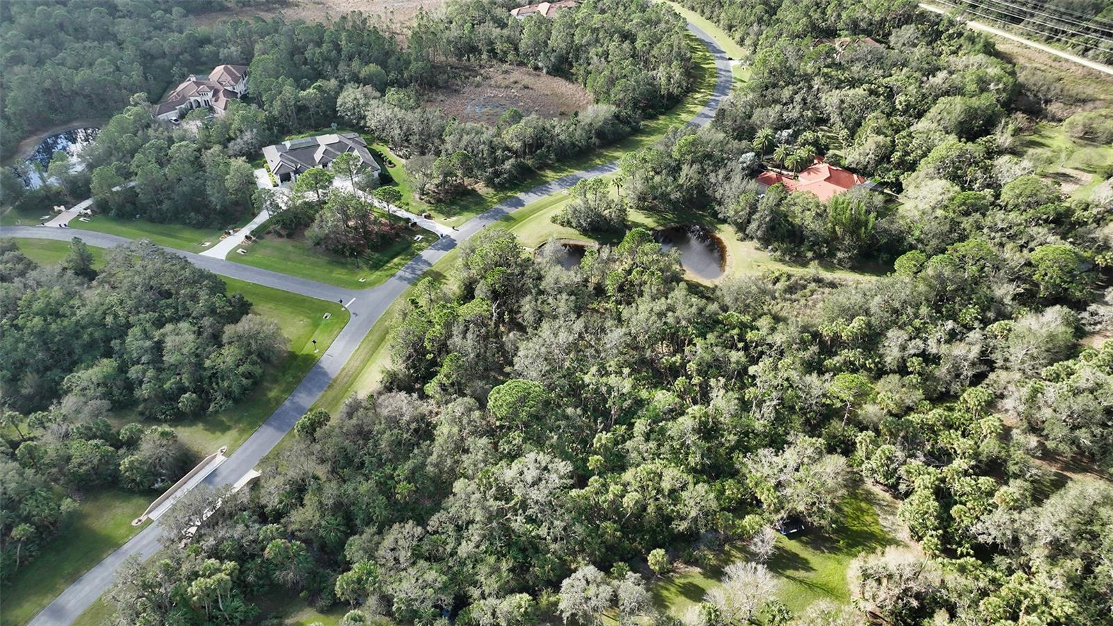 9255 SWAYING BRANCH RD — photo 17