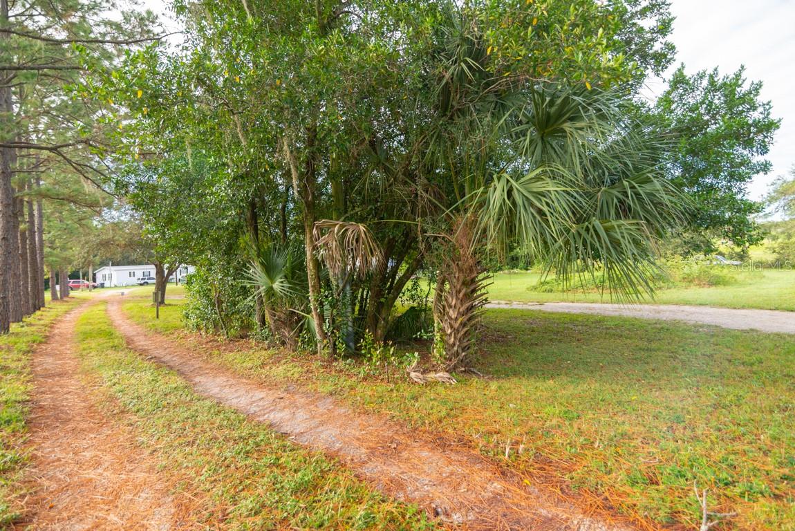 9358 HARNEY RD — photo 3