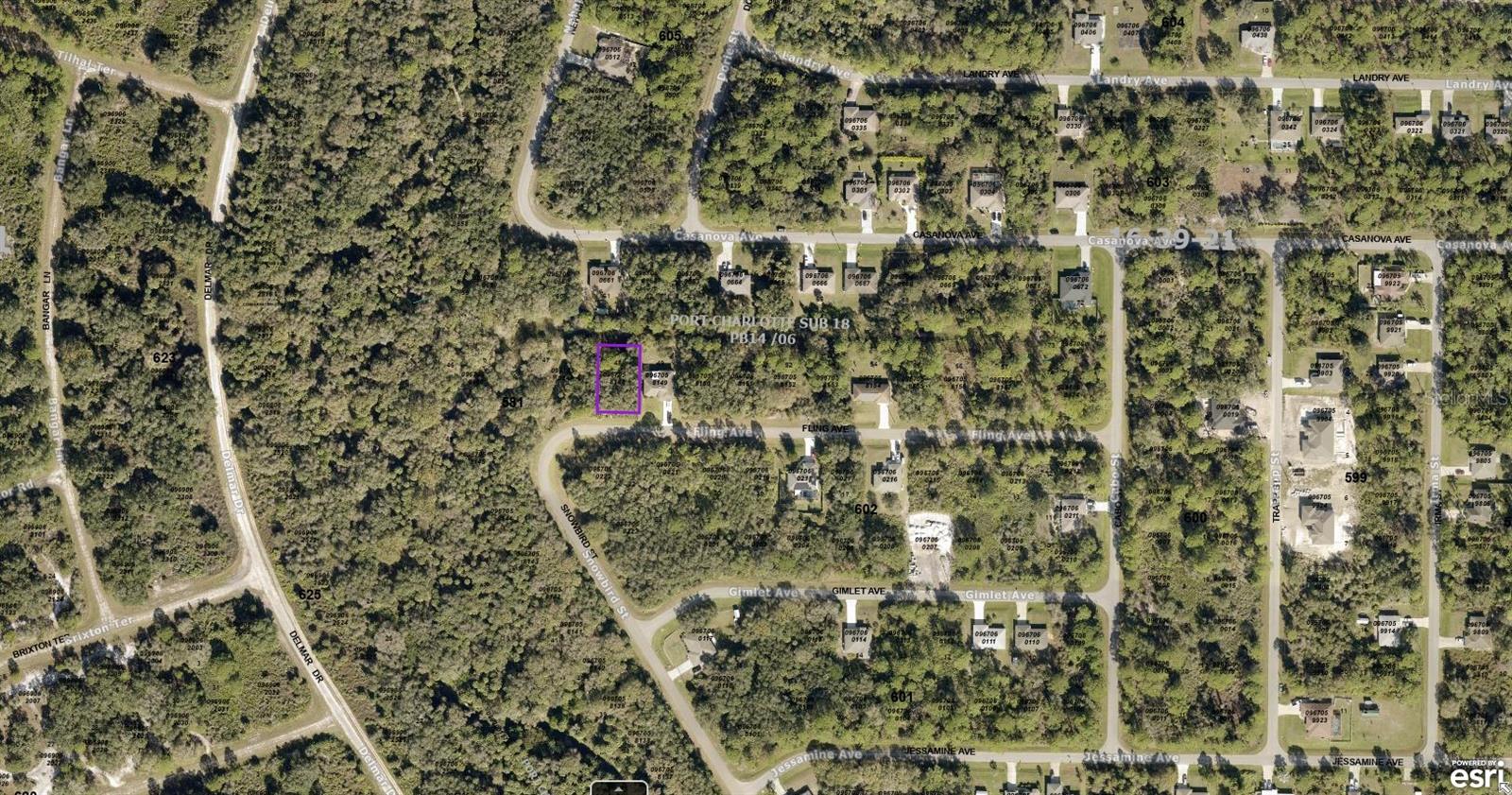 0967058148 FLING AVE — photo 2