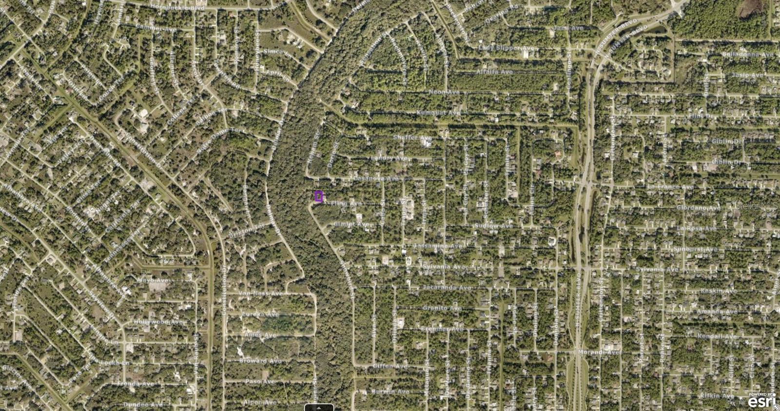 0967058148 FLING AVE — photo 3