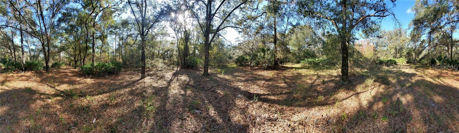 8738 LINDY LN — photo 3