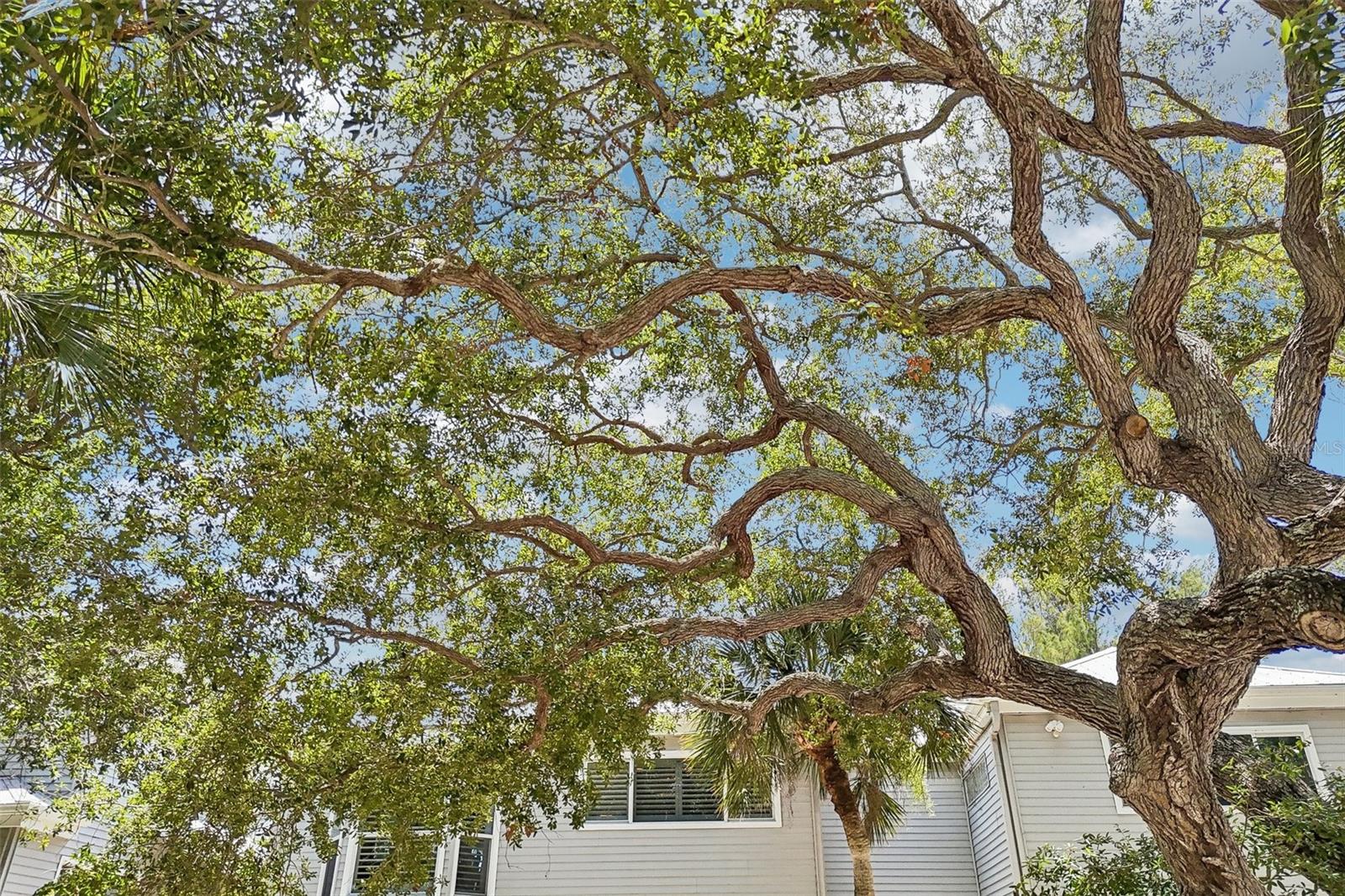 6570 MANASOTA KEY RD — photo 52