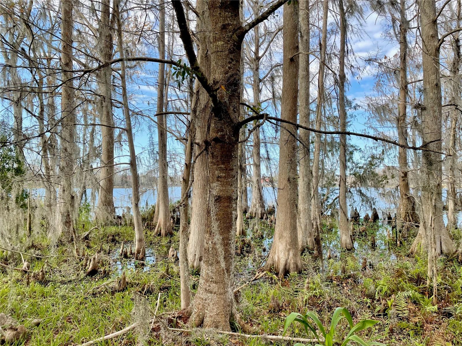 19858 STATE ROAD 52 — photo 12