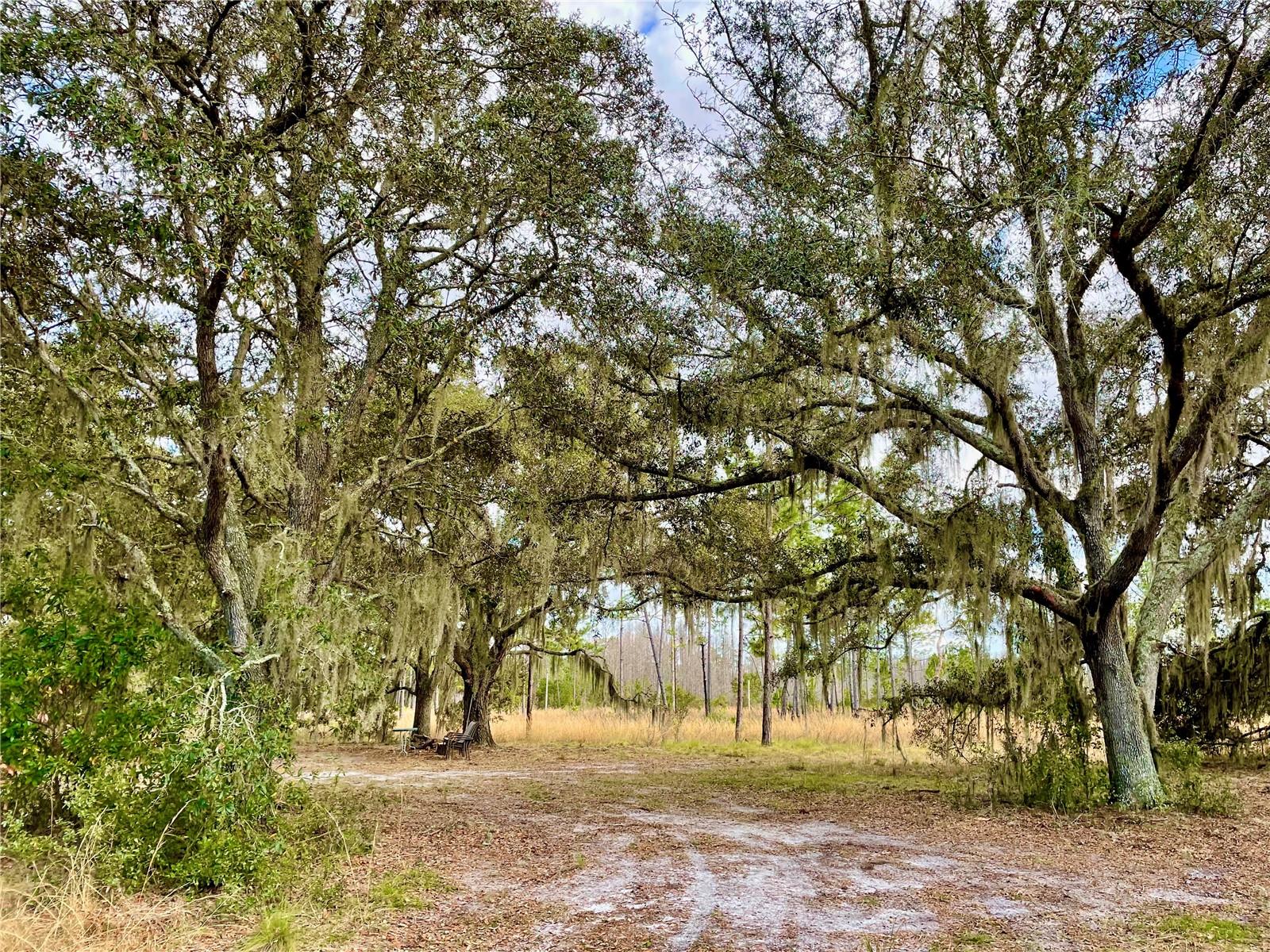 19858 STATE ROAD 52 — photo 9