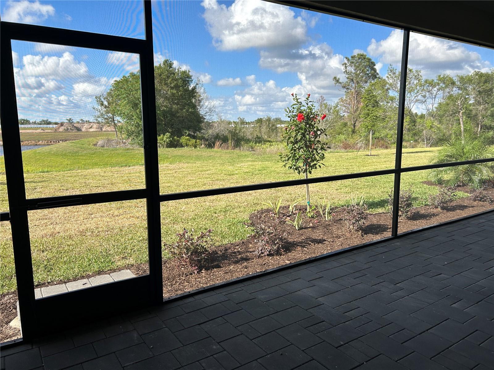 15513 WHITE LINEN DR — photo 31