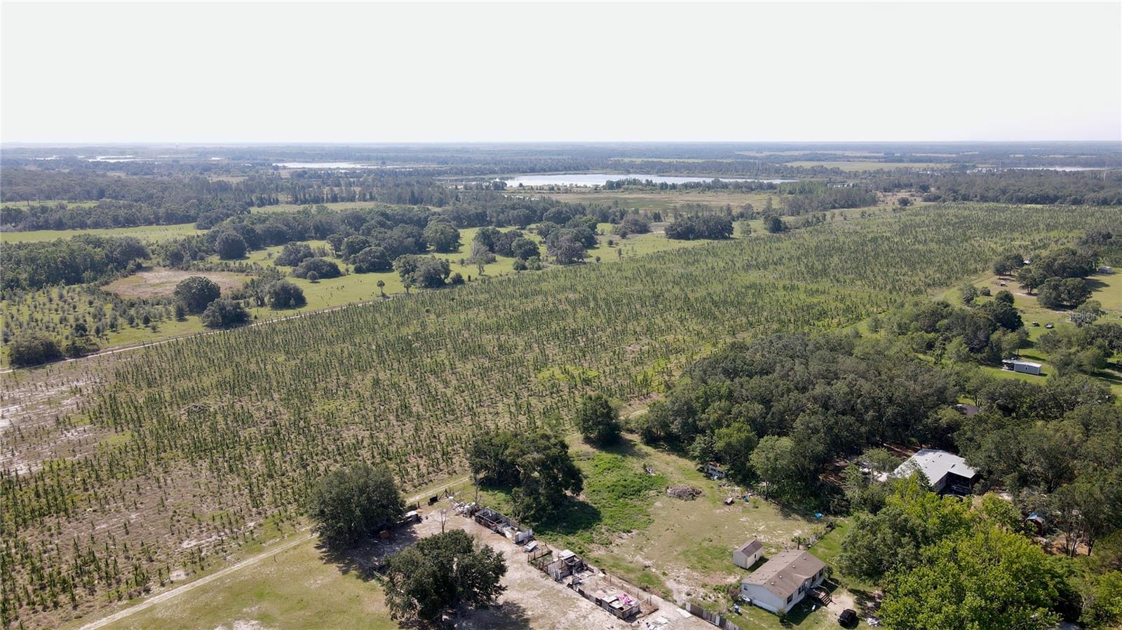 Home in LITHIA — photo 8