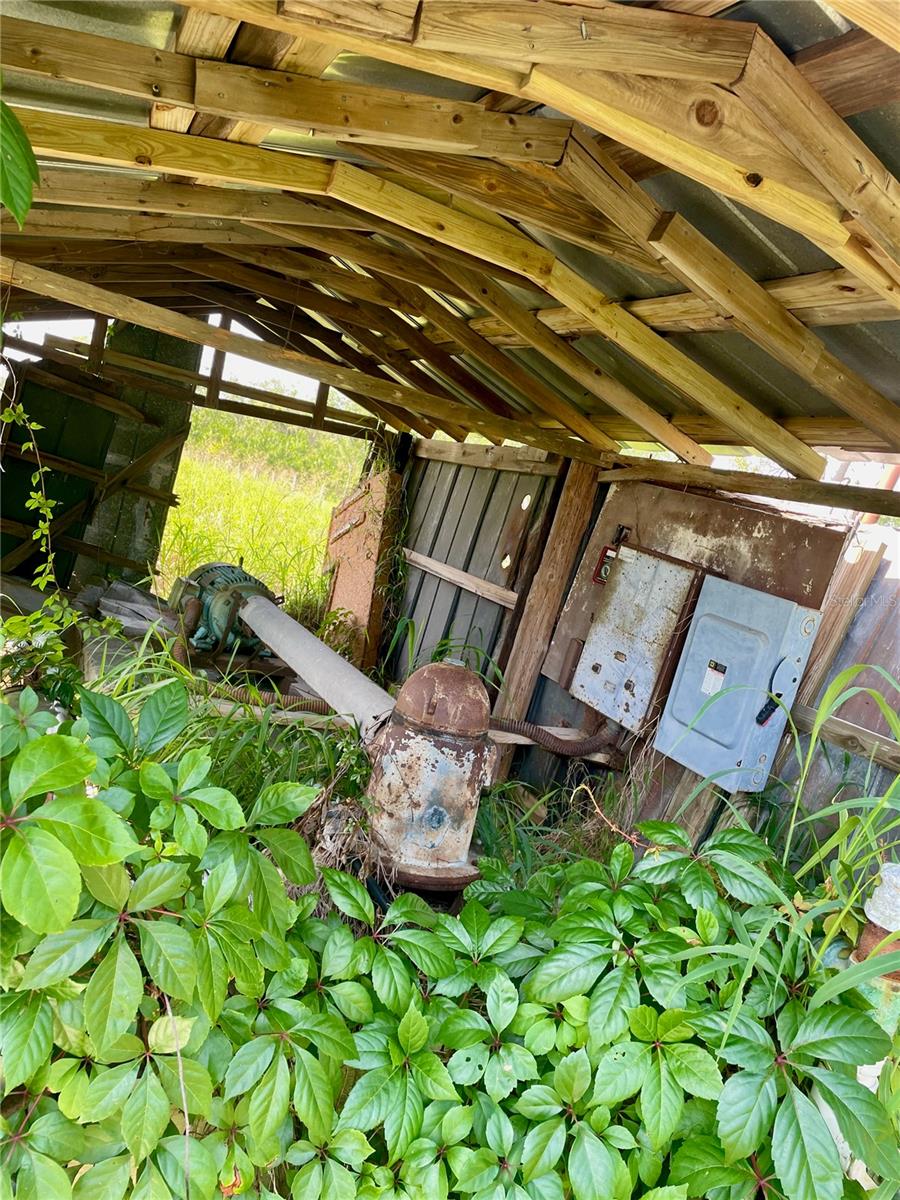 Home in LITHIA — photo 16