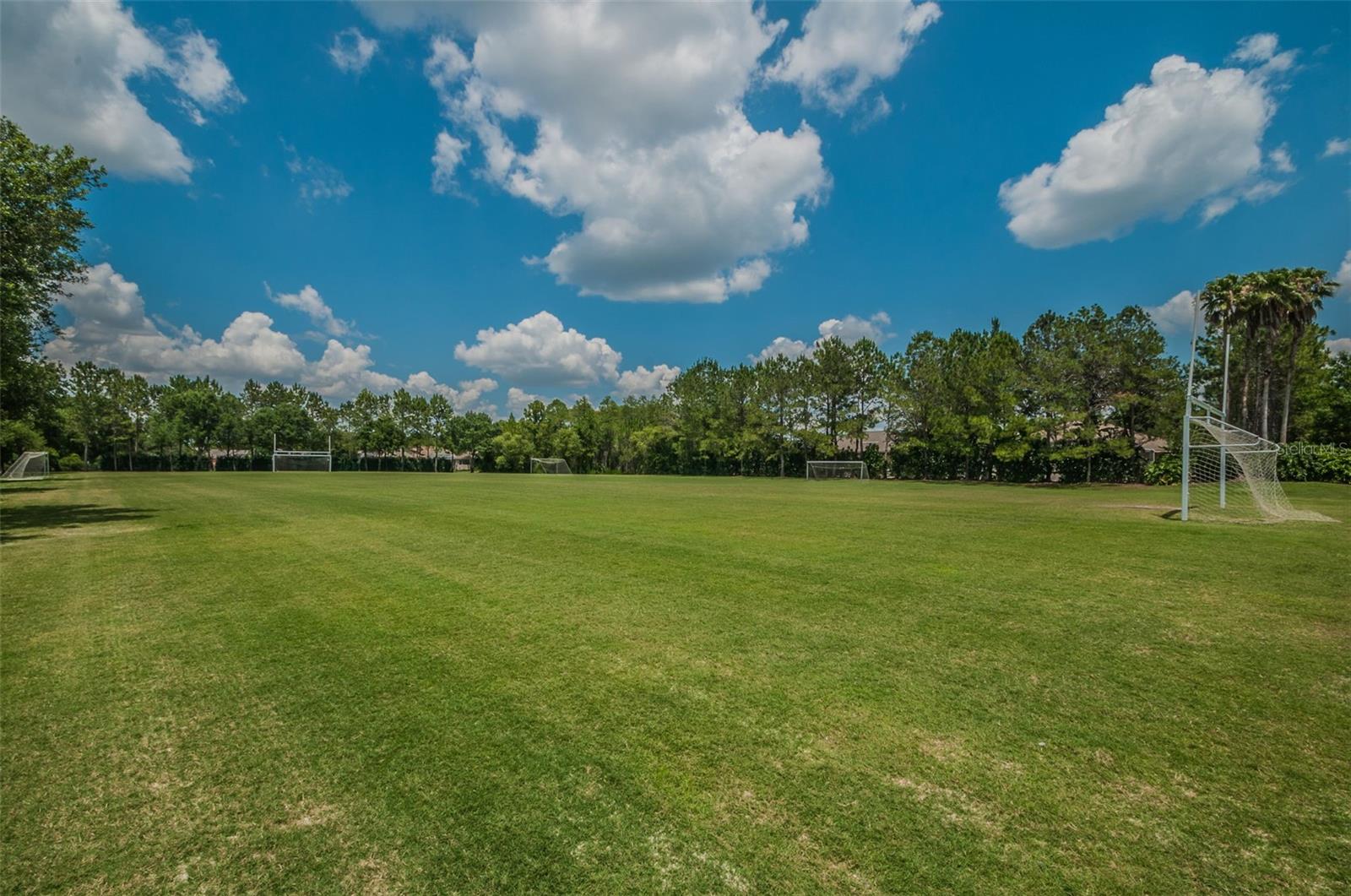 4390 TARPON LAKE BLVD — photo 27