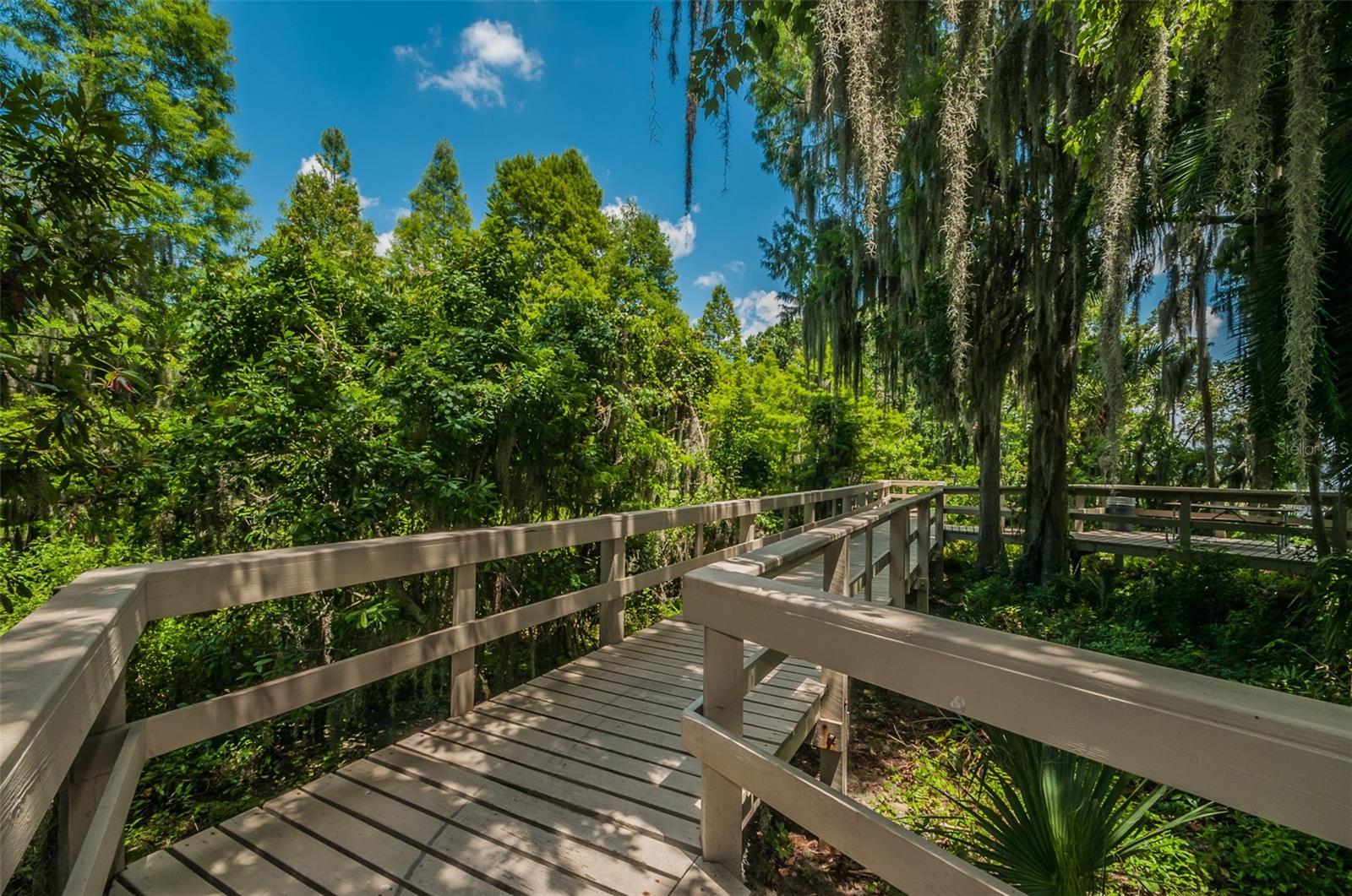 4390 TARPON LAKE BLVD — photo 44