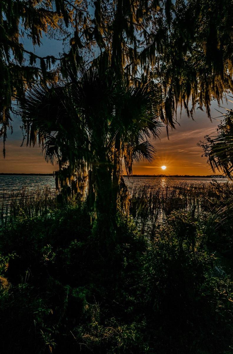 4390 TARPON LAKE BLVD — photo 61