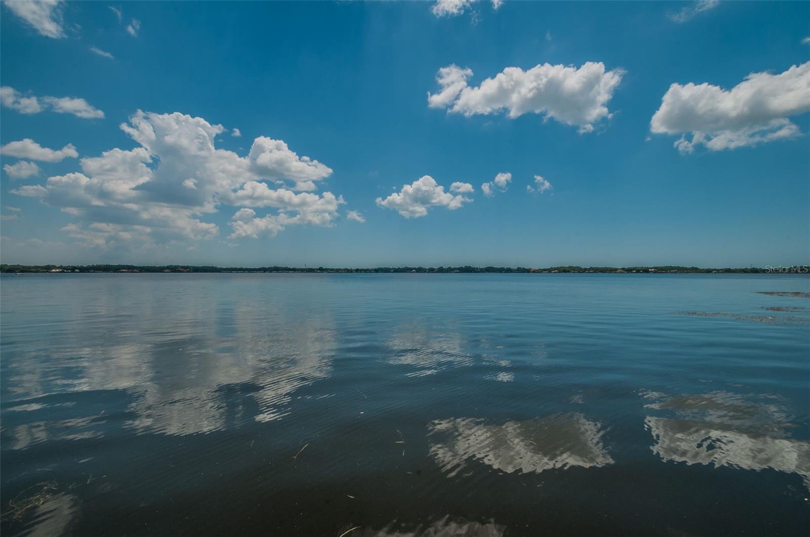 4390 TARPON LAKE BLVD — photo 50