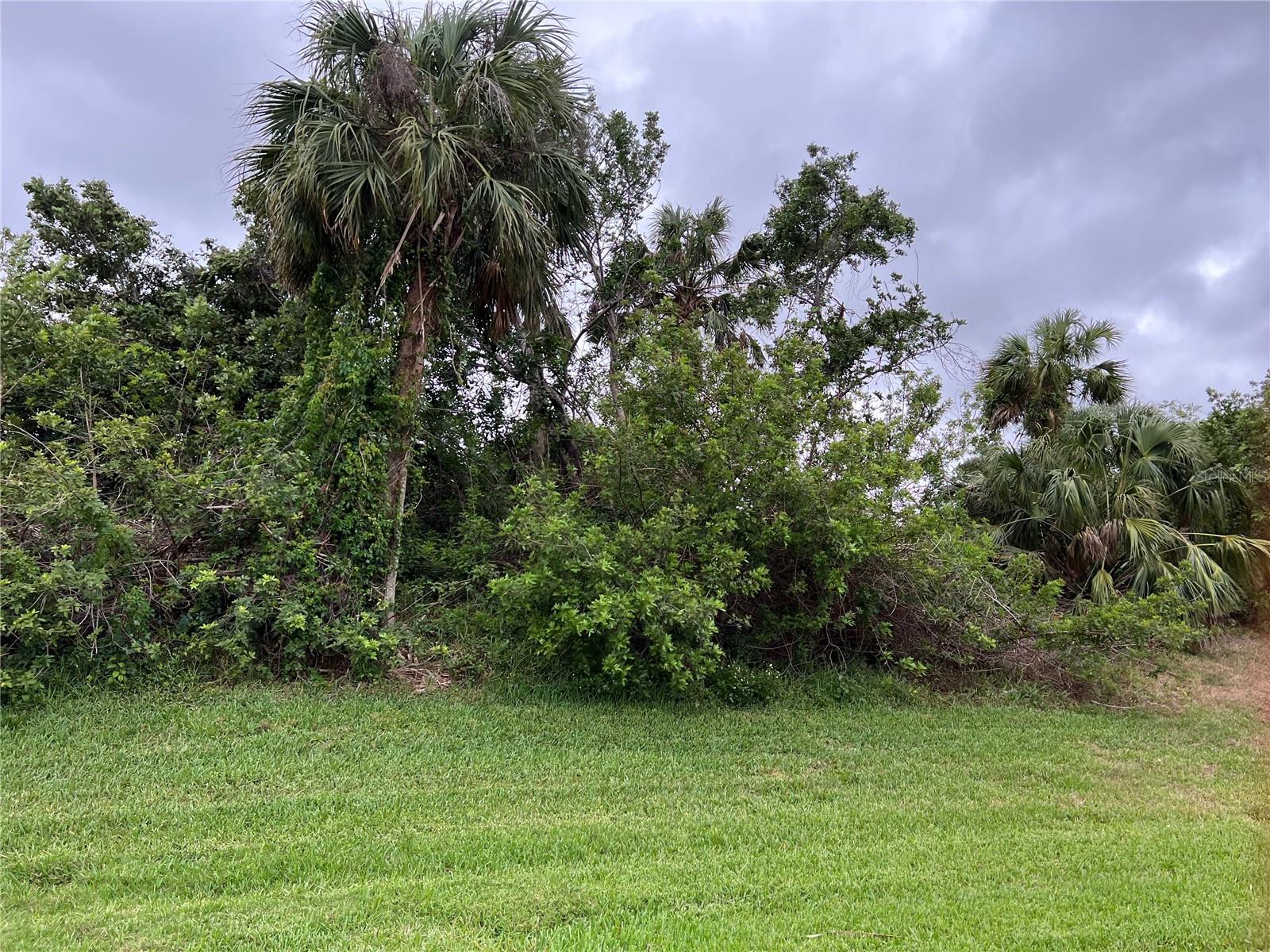 WOODBRIDGE DR — photo 11