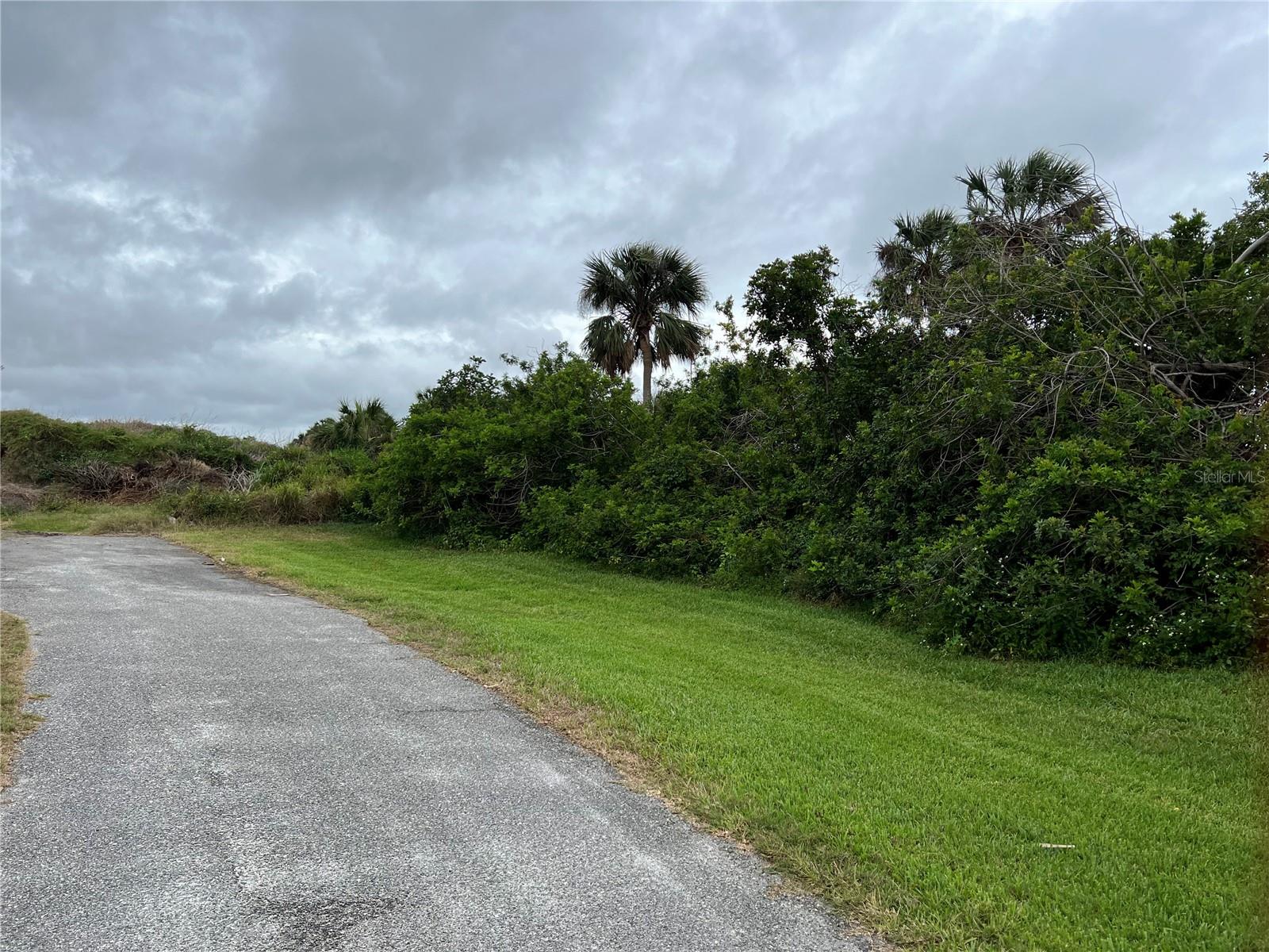 WOODBRIDGE DR — photo 14