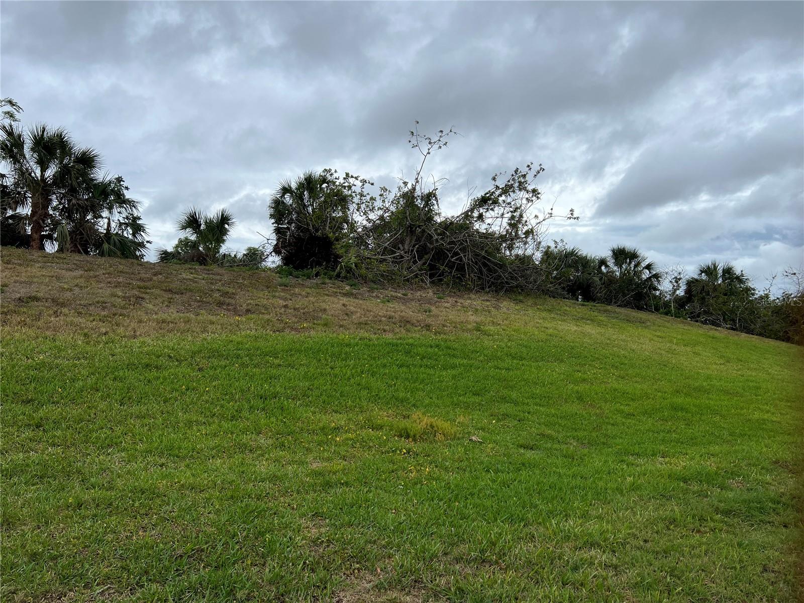 WOODBRIDGE DR — photo 3