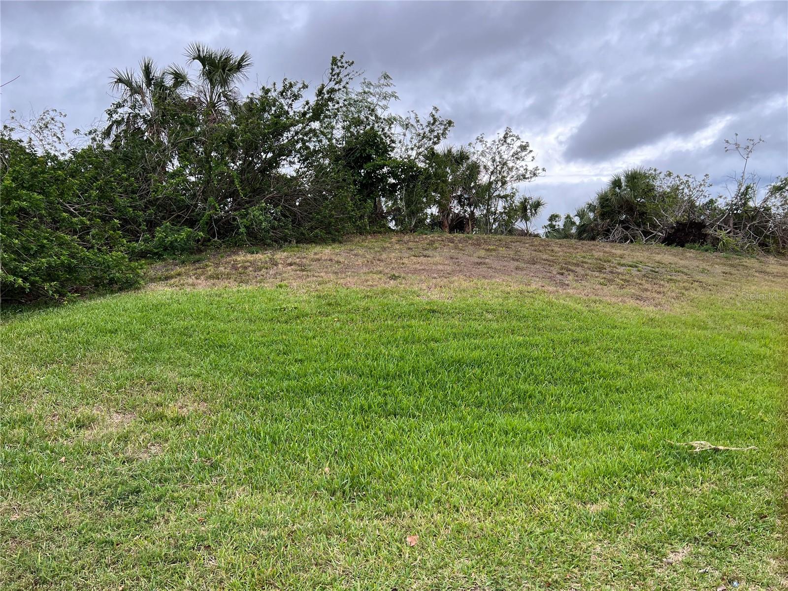 WOODBRIDGE DR — photo 2