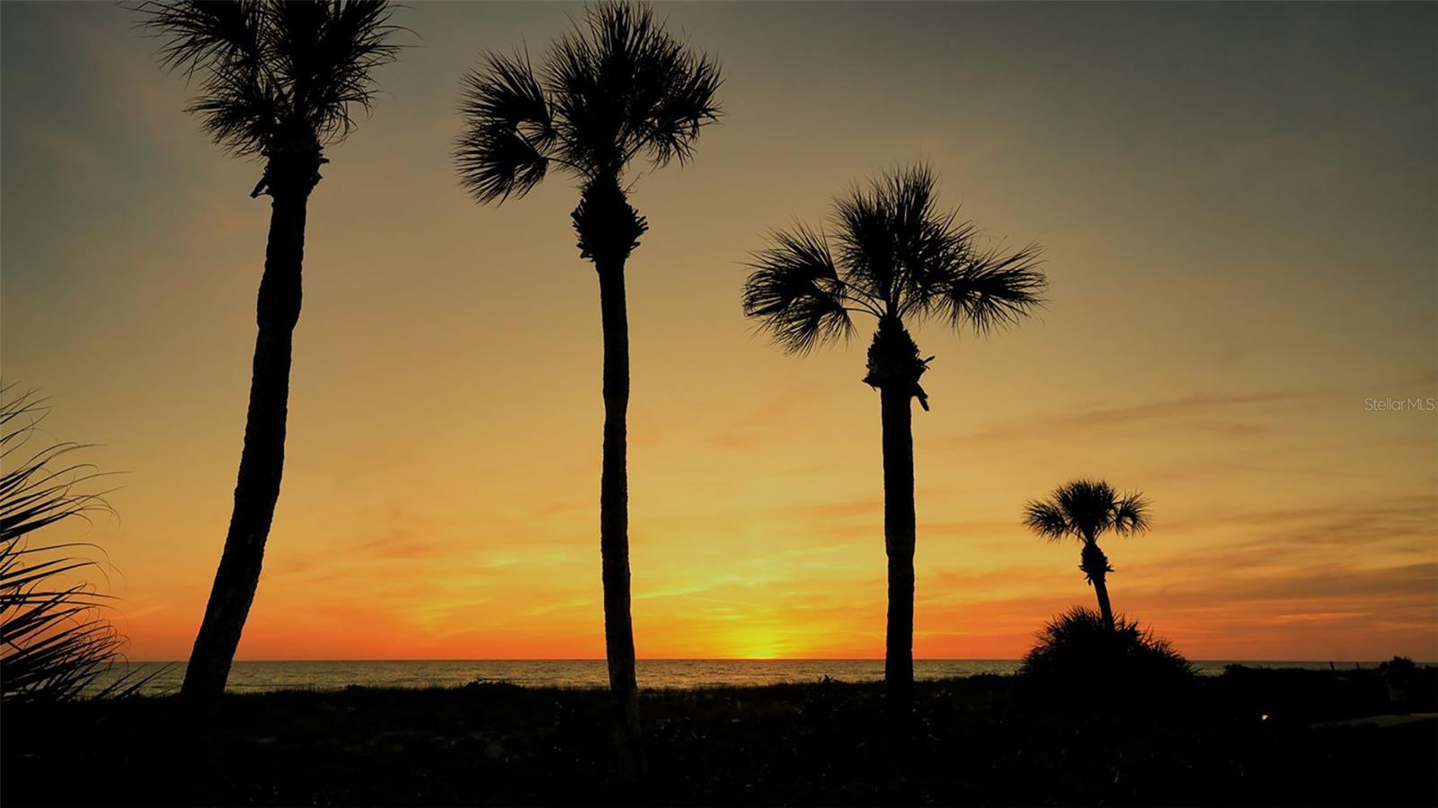 Home in LONGBOAT KEY — photo 52