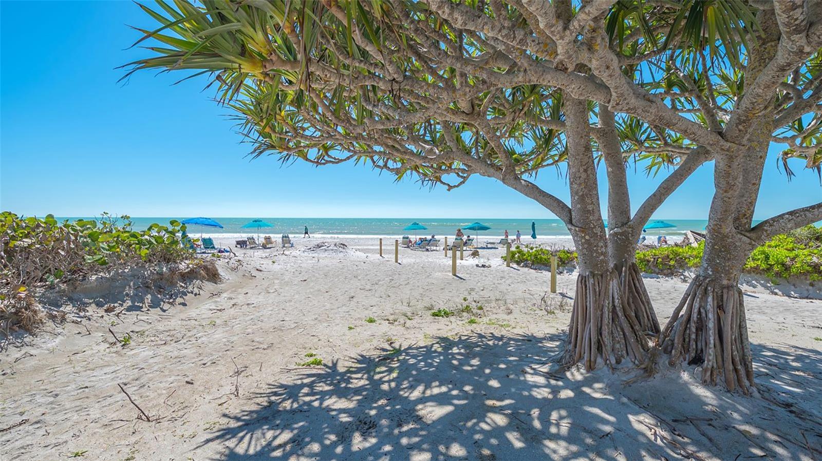 Home in LONGBOAT KEY — photo 49