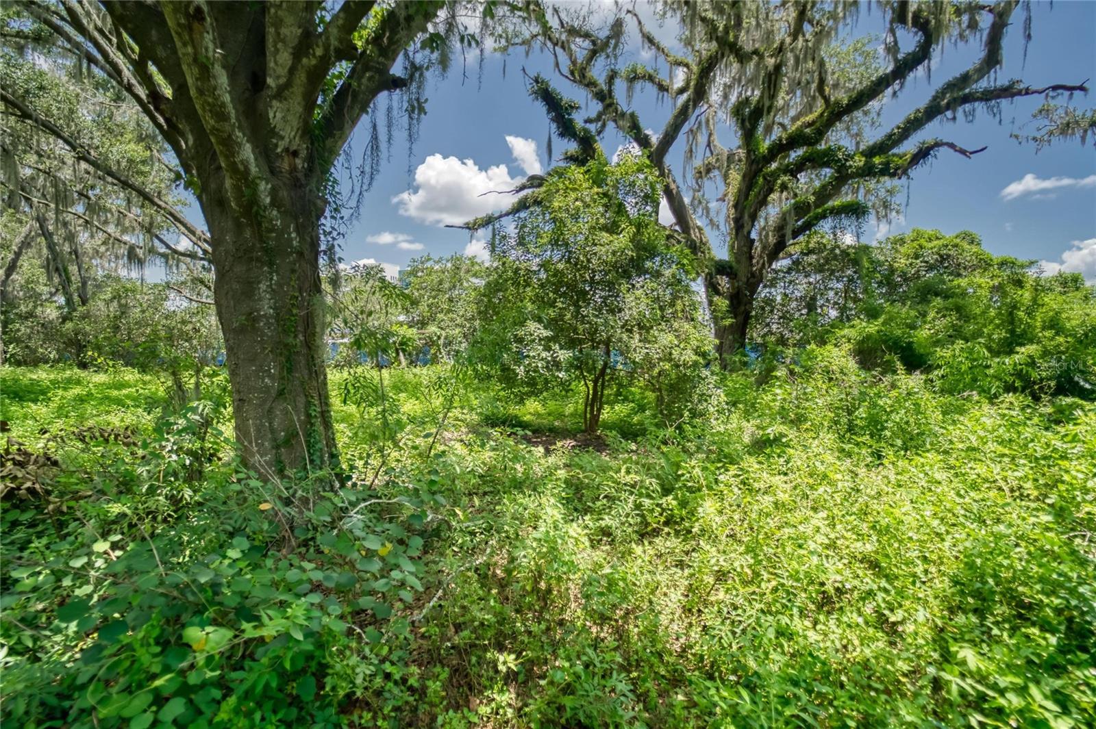 3113 N WILDER RD — photo 13