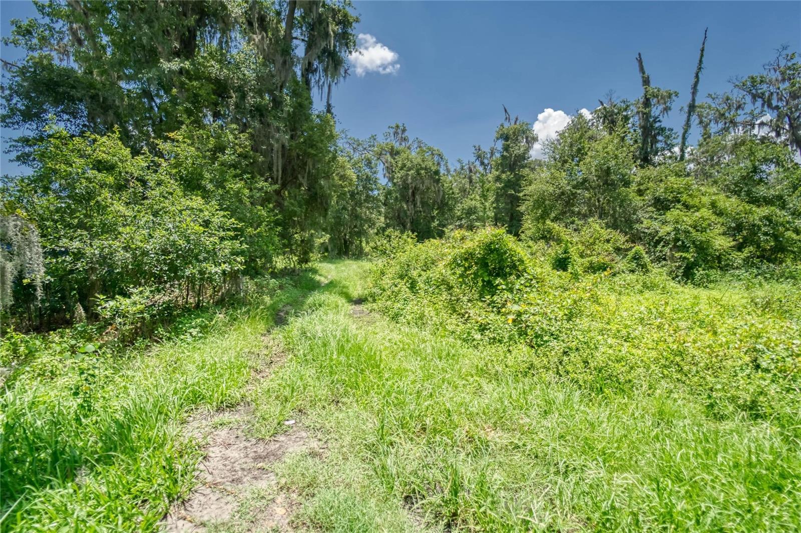 3113 N WILDER RD — photo 14