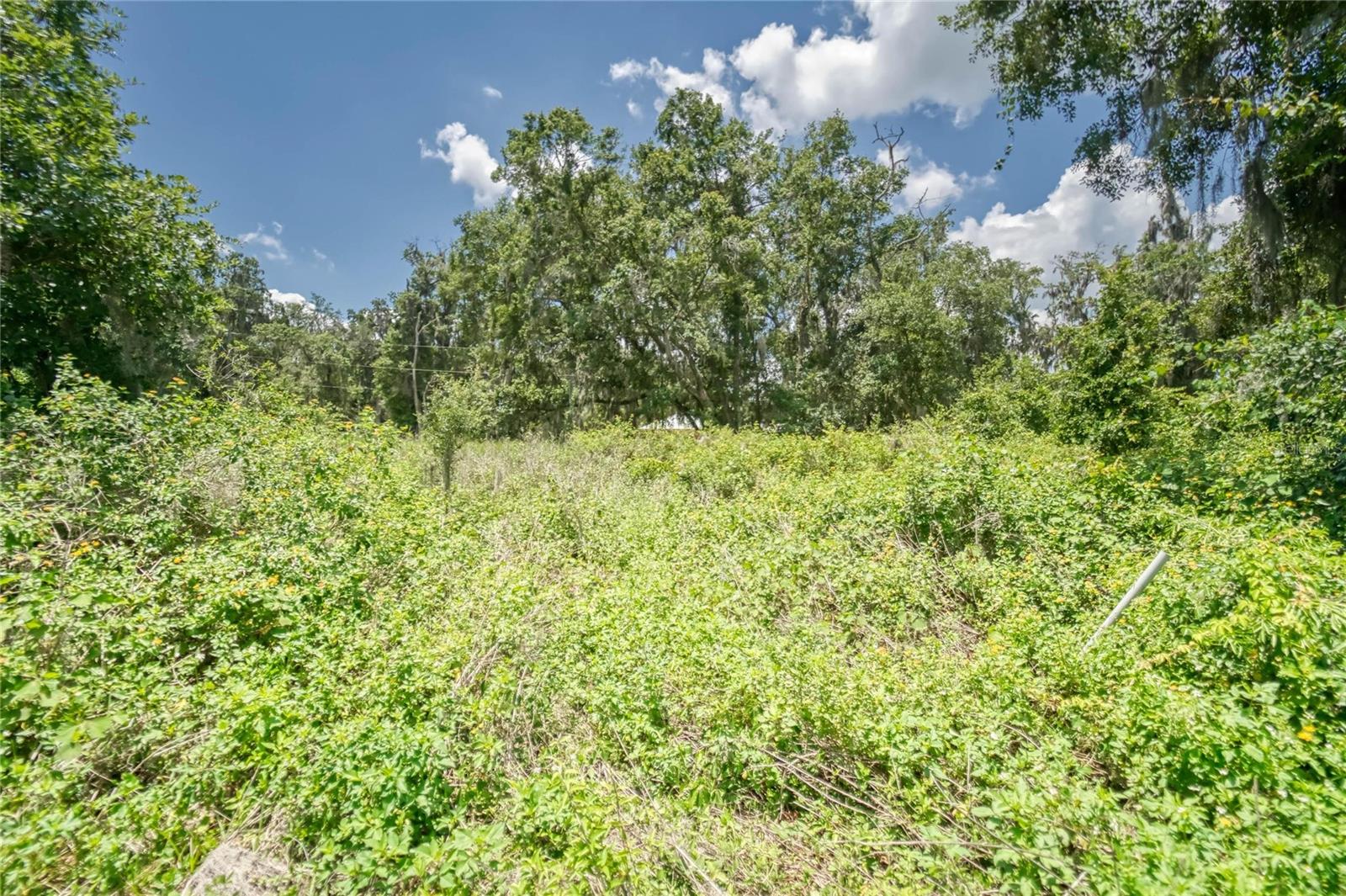 3113 N WILDER RD — photo 7