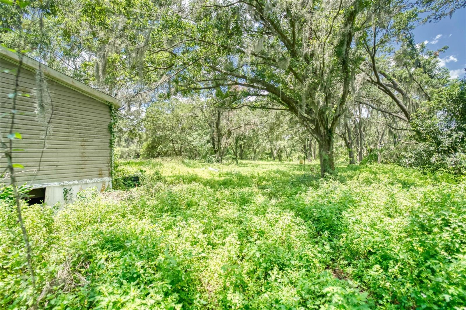 3113 N WILDER RD — photo 10