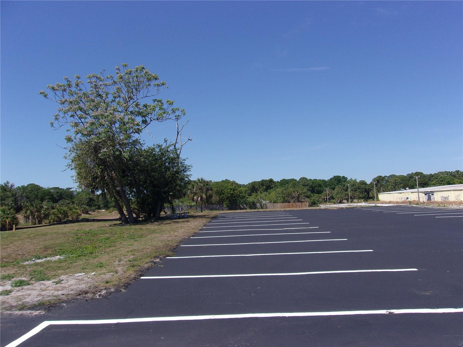 12515 US HIGHWAY 19 — photo 13