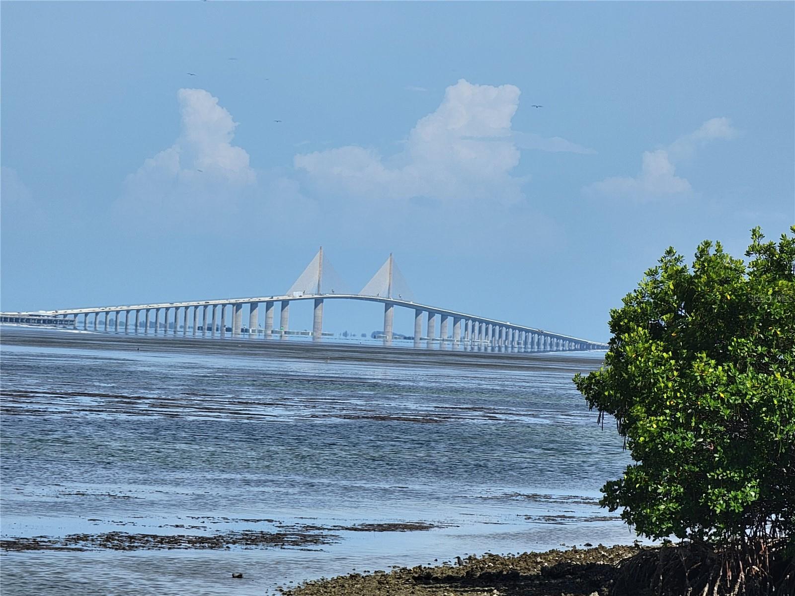 1515 PINELLAS BAYWAY S #38 — photo 44