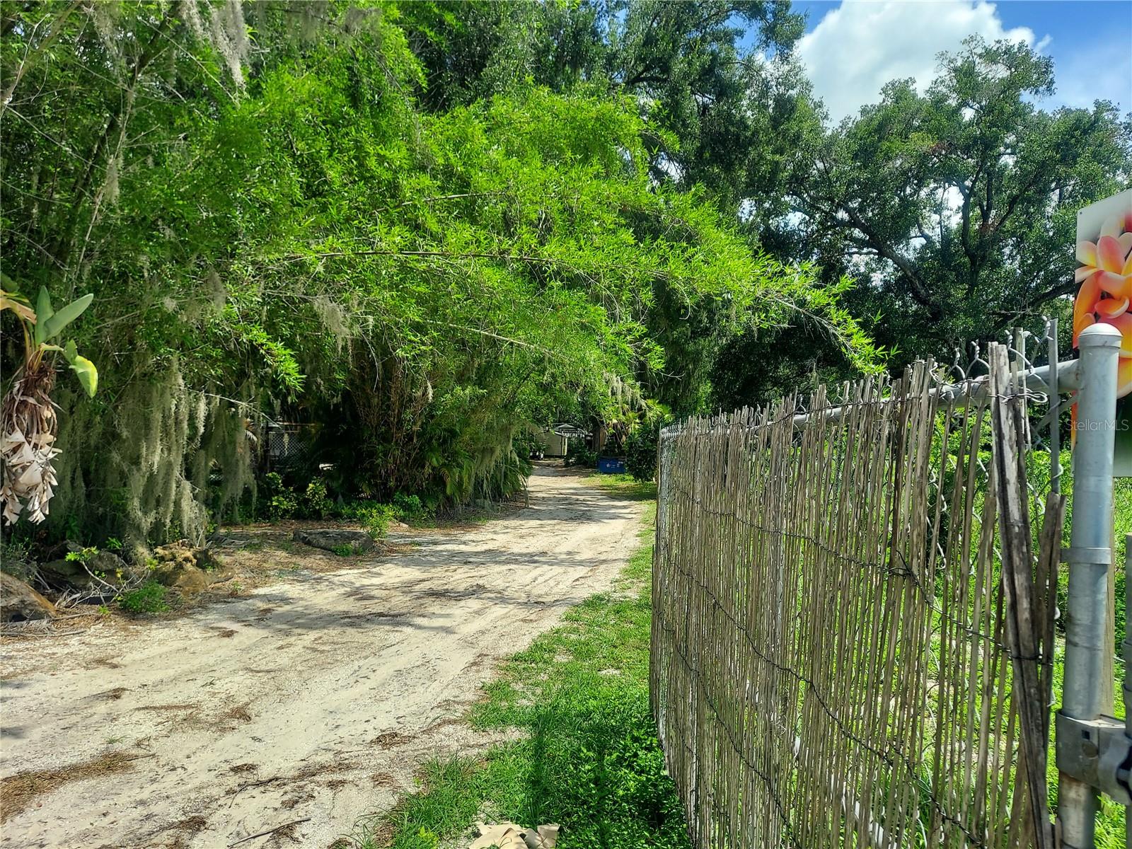 453 W DR MARTIN LUTHER KING JR BLVD — photo 13