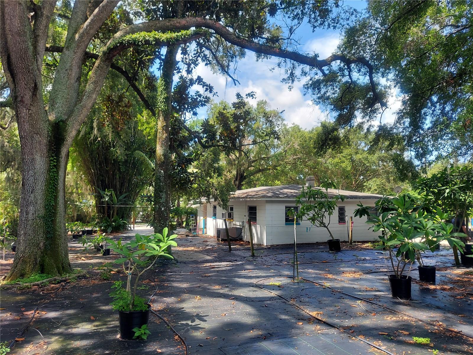 453 W DR MARTIN LUTHER KING JR BLVD — photo 21