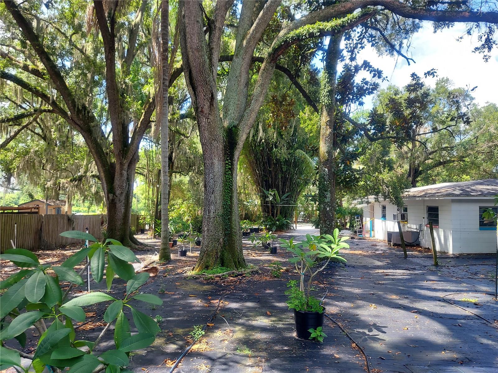 453 W DR MARTIN LUTHER KING JR BLVD — photo 20