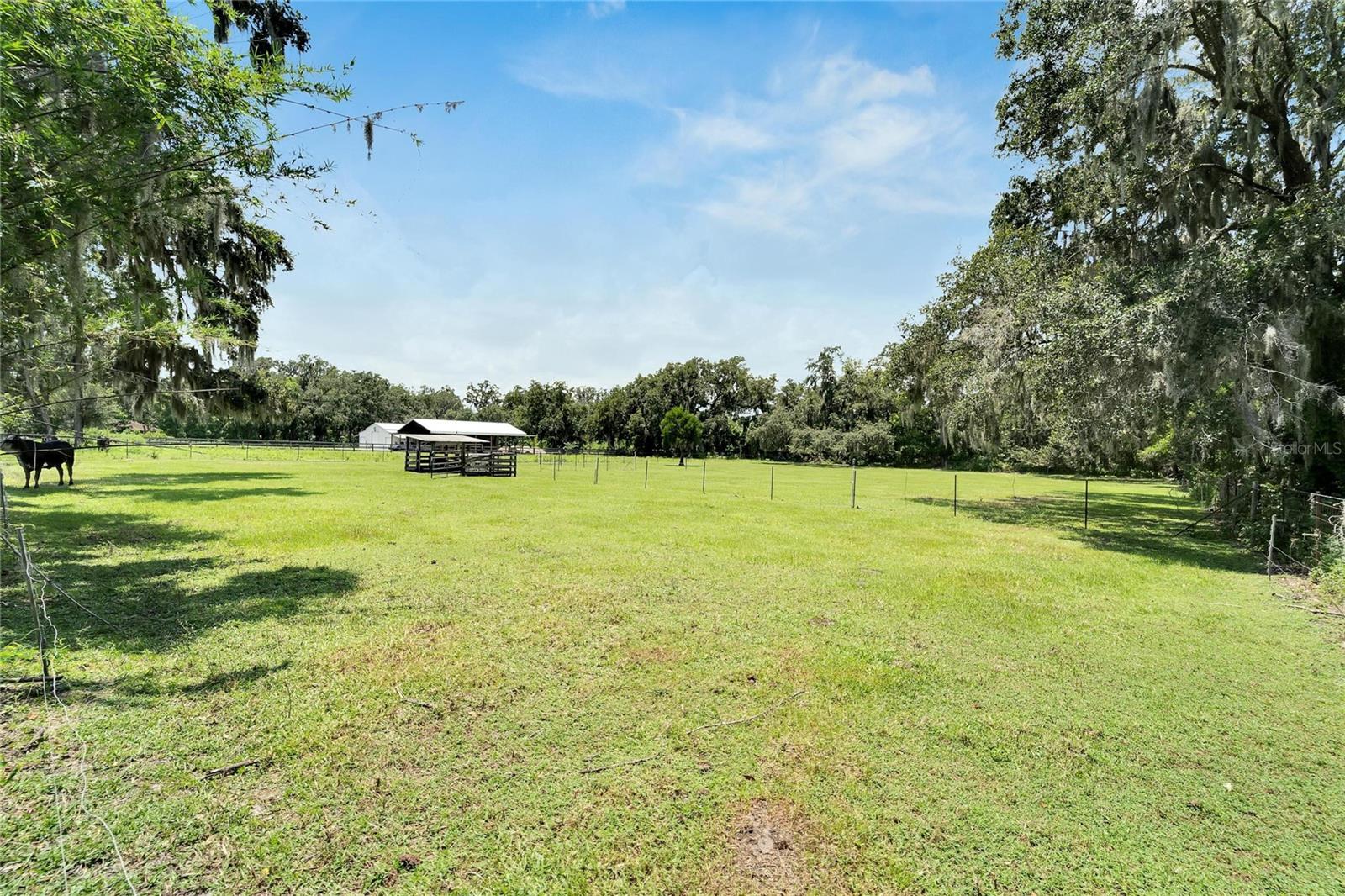 3003 N WILDER RD — photo 53
