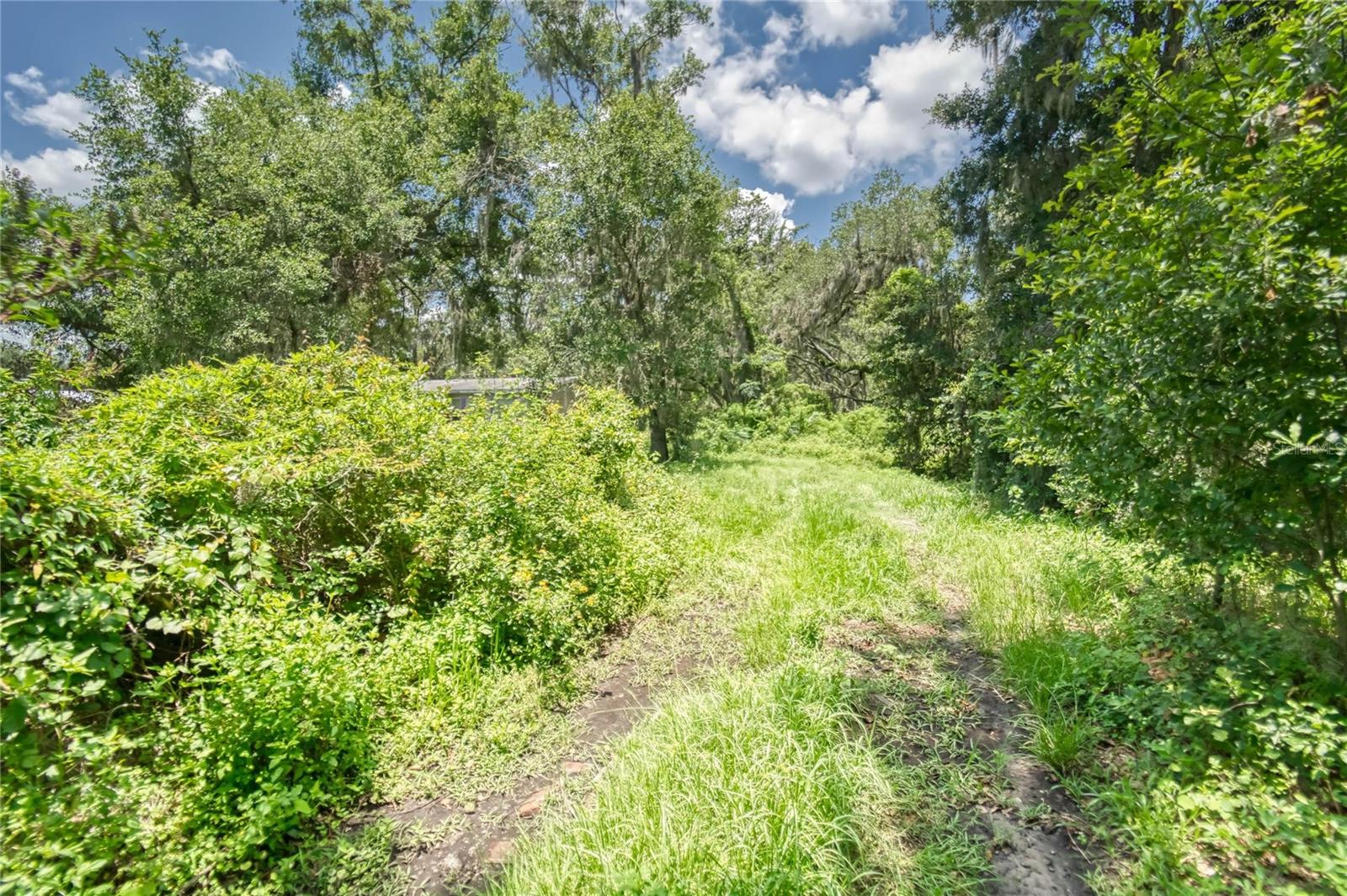 3113 N WILDER RD — photo 33