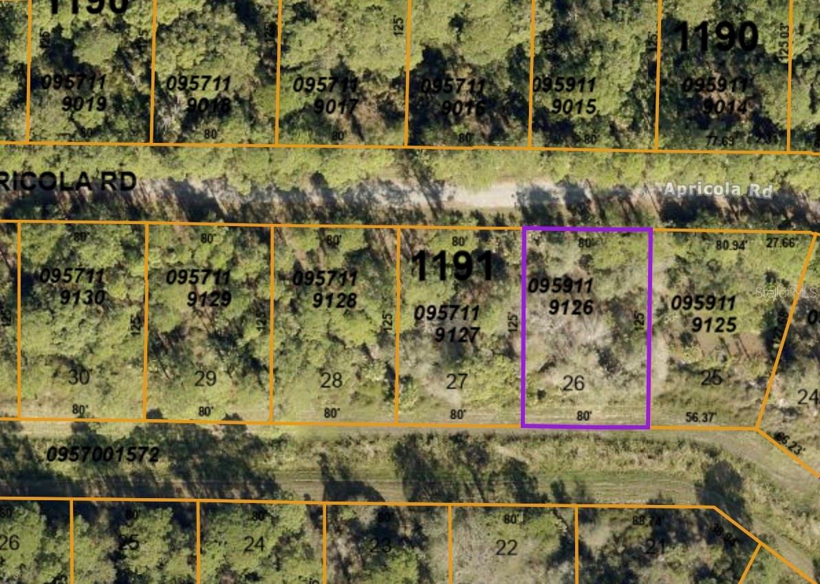 APRICOLA RD — photo 2