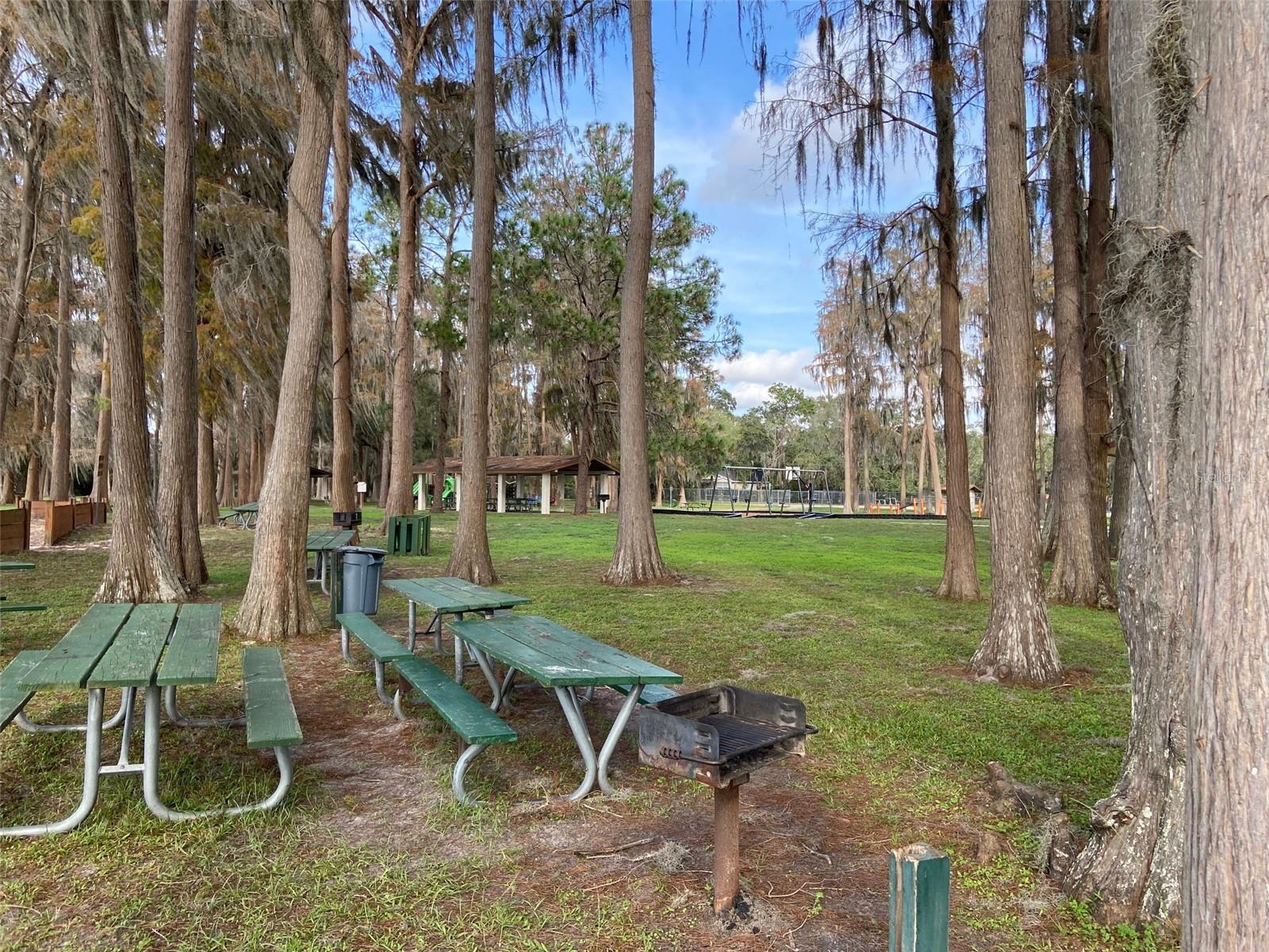 11876 KEYLIME DR — photo 13