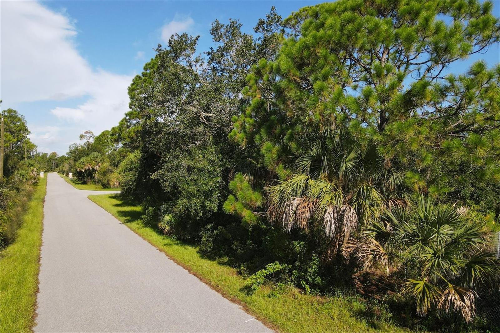 Lot # 19 RENTSCHER AVE — photo 7