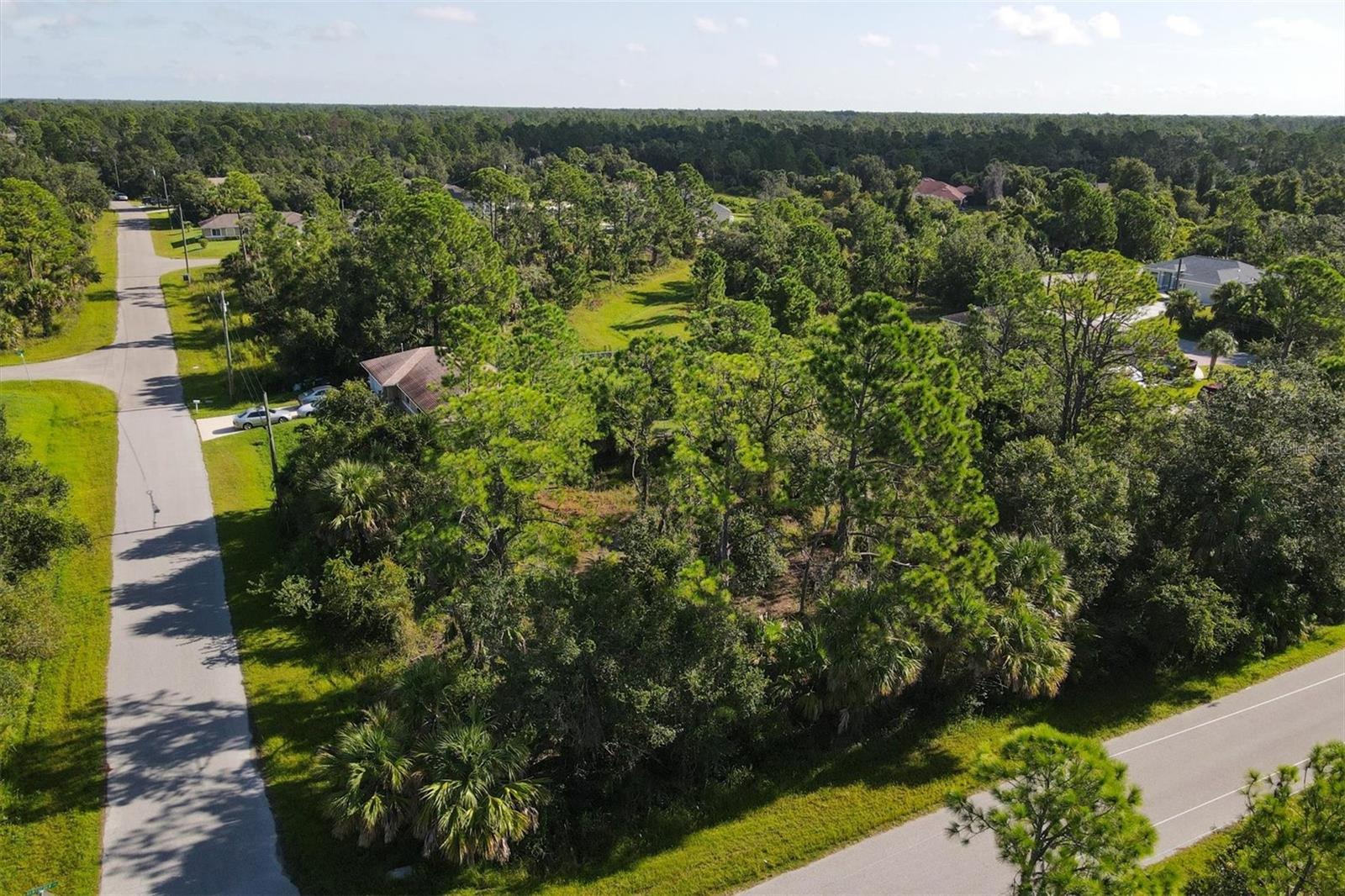 Lot # 19 RENTSCHER AVE — photo 8