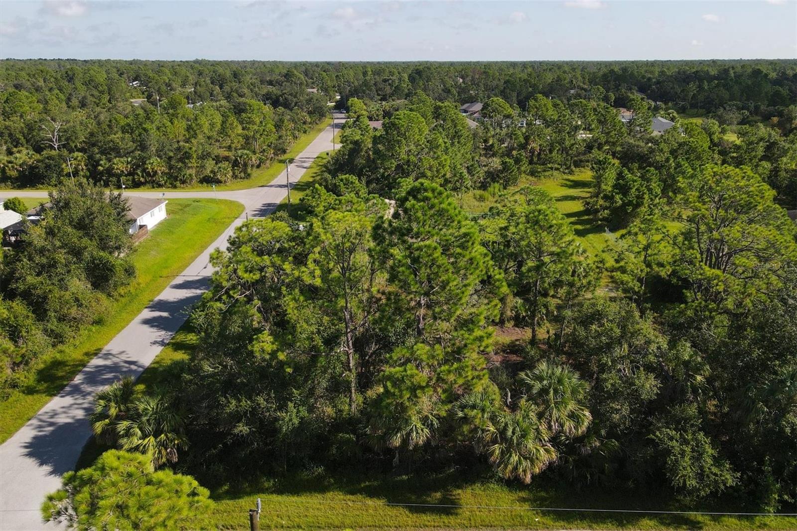 Lot # 19 RENTSCHER AVE — photo 9