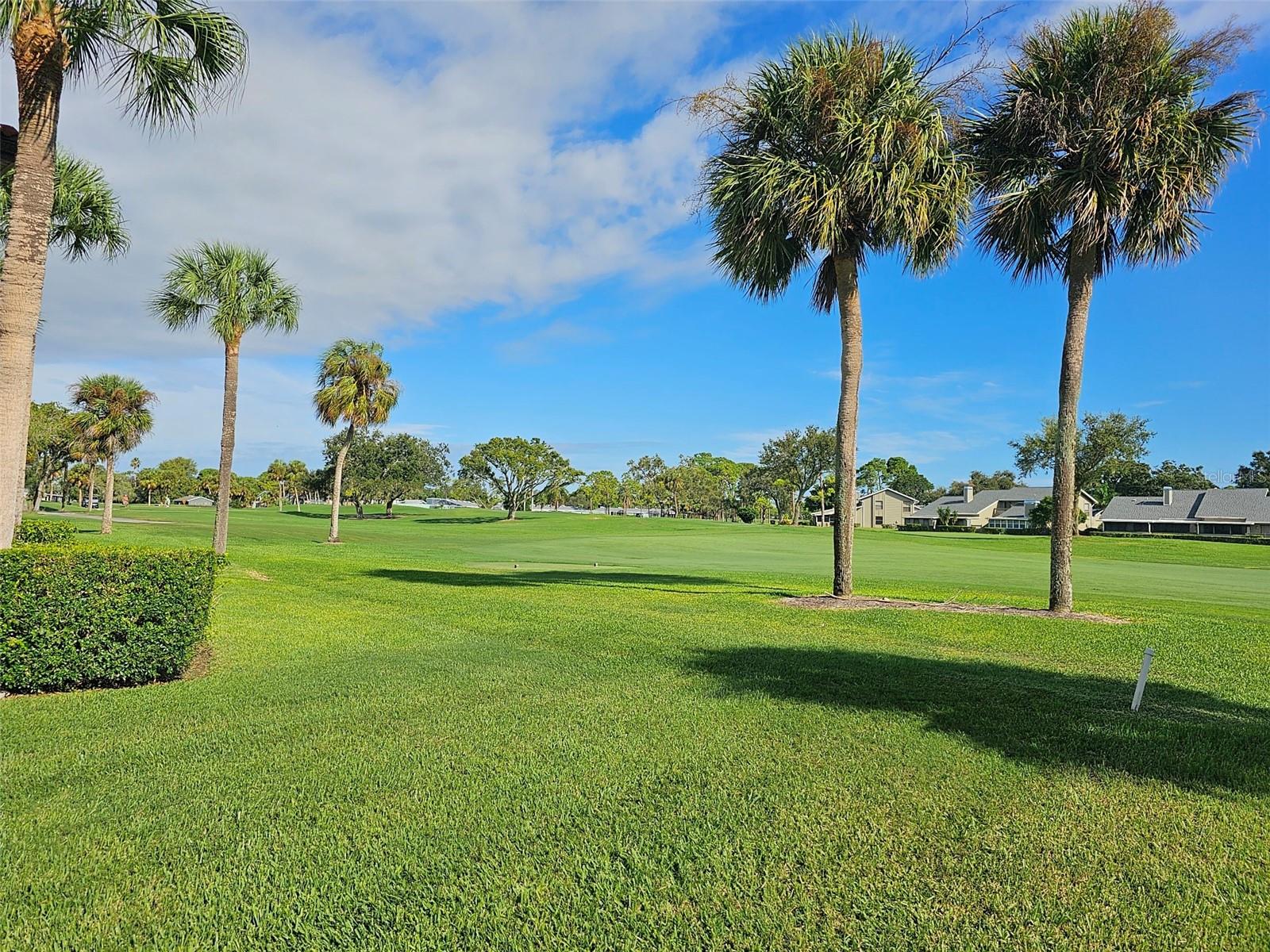 3500 EL CONQUISTADOR PKWY #275 — photo 30