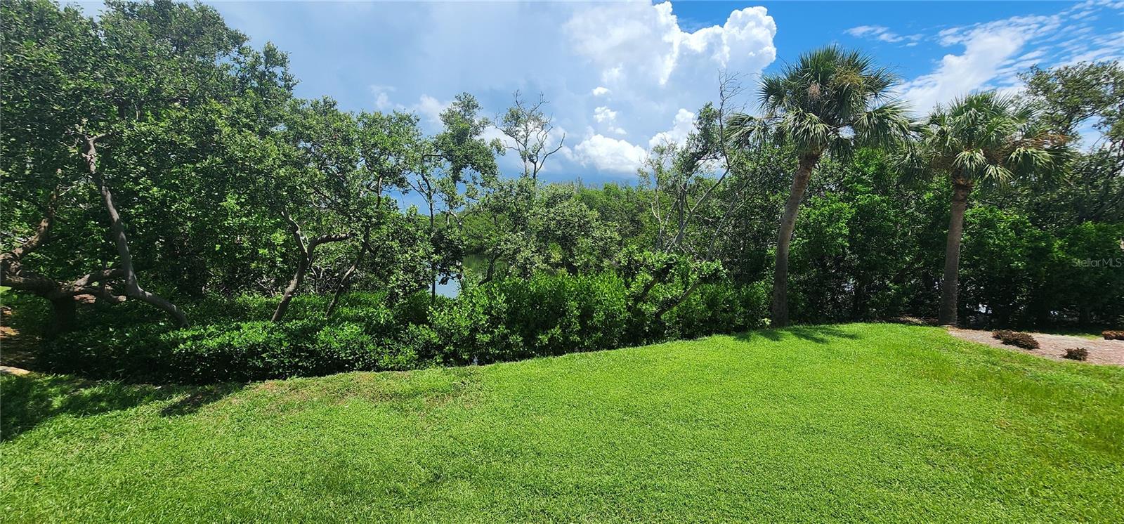 1515 PINELLAS BAYWAY S #62 — photo 31