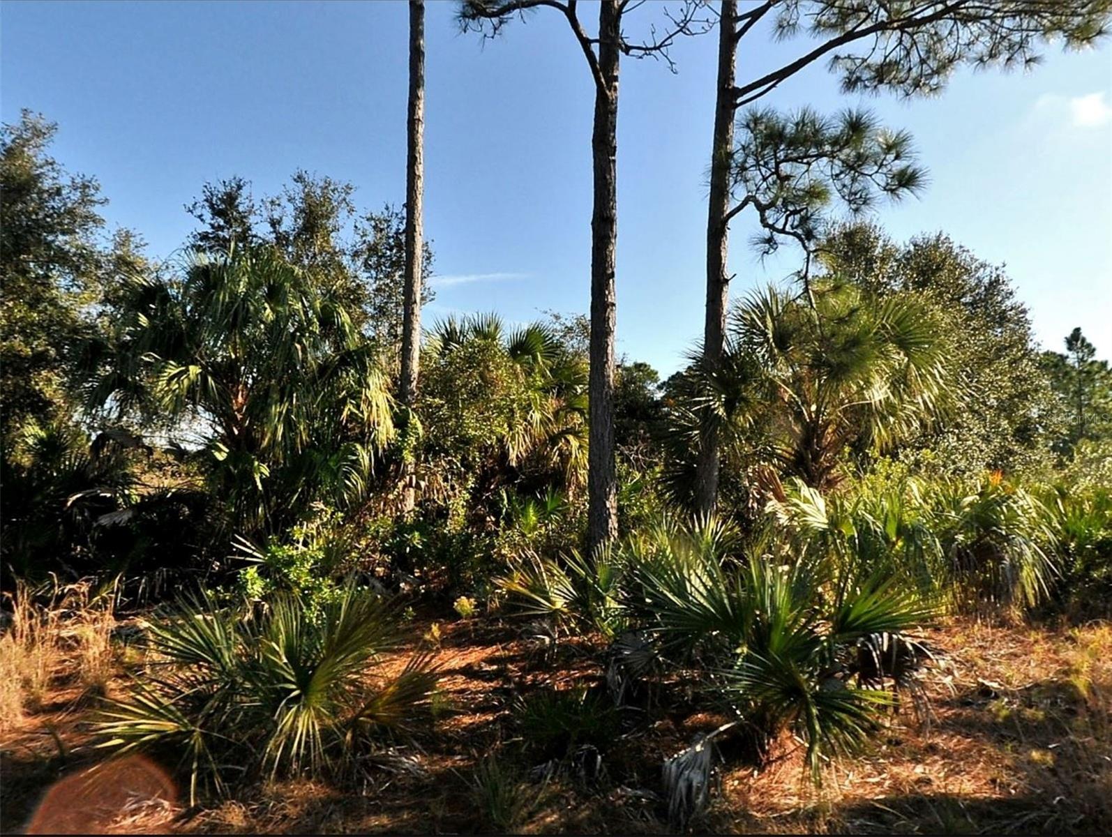Lot 11 SHENO DR — photo 2