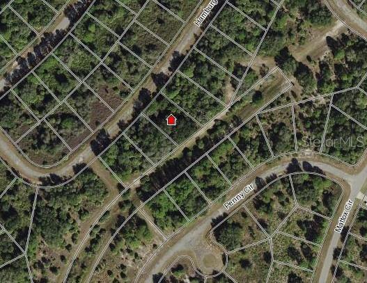 Lot 3 HAMBURG DR — photo 6